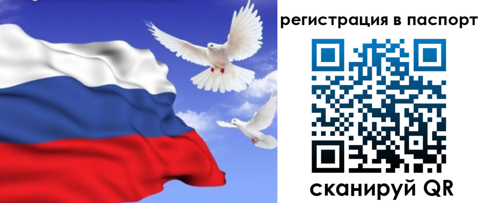 купить прописку в Козловке